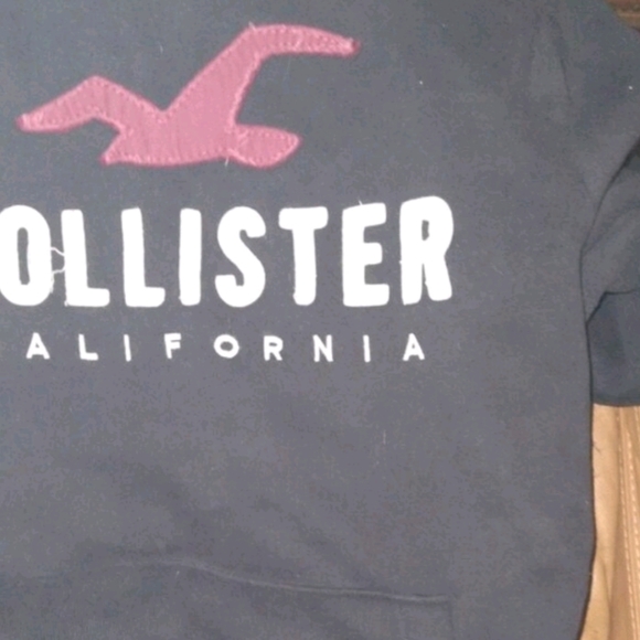 Retro Hollister Hoodie - Picture 2 of 4
